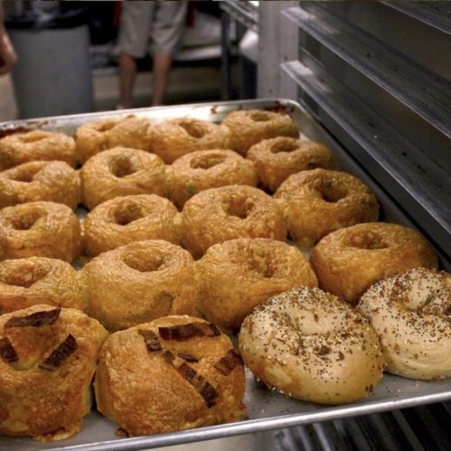 A tray of freshly baked bagels, including plain and flavored varieties, arranged neatly.