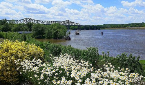 A scenic view of a river with a bridge in the background, surrounded by blooming flowers and lush greenery.