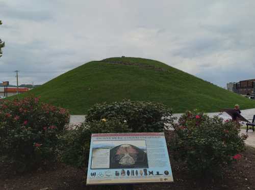 A grassy mound with a sign about ancient culture, surrounded by flowers and a cloudy sky in the background.