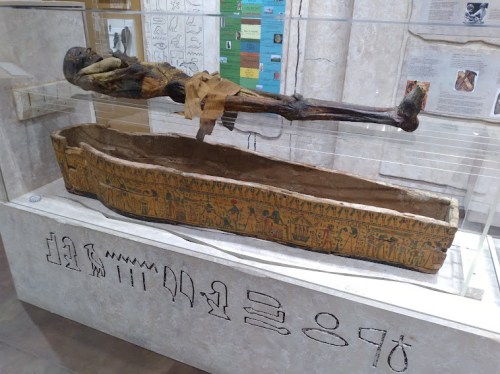 A mummified body displayed in a glass case, resting in a decorated sarcophagus with hieroglyphics.