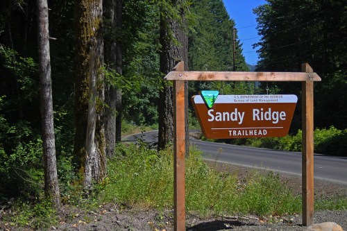 Sign for Sandy Ridge Trailhead surrounded by tall trees, with a winding road visible in the background.