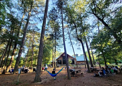 A serene forest scene with people relaxing in hammocks and chairs near a cabin surrounded by tall trees.