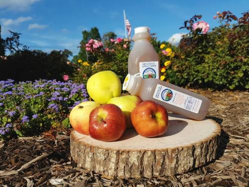 A wooden stump displays fresh apples and a bottle of apple juice, surrounded by colorful flowers under a blue sky.