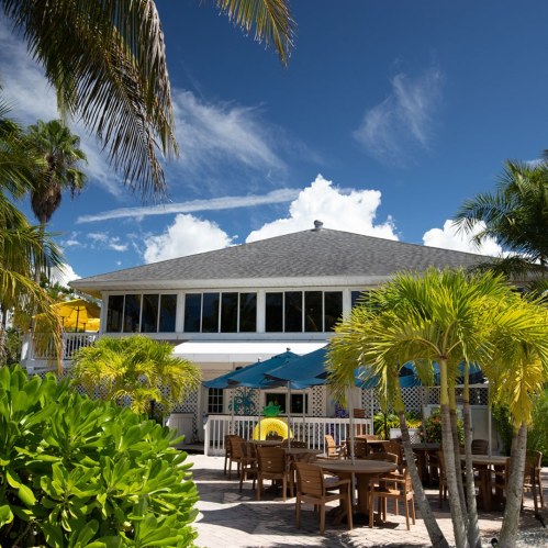 A tropical restaurant with outdoor seating, surrounded by palm trees and bright blue skies.