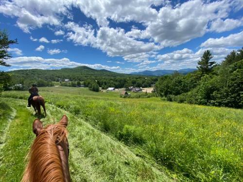 Two horseback riders on a grassy trail overlooking a lush valley and distant mountains under a blue sky with clouds.