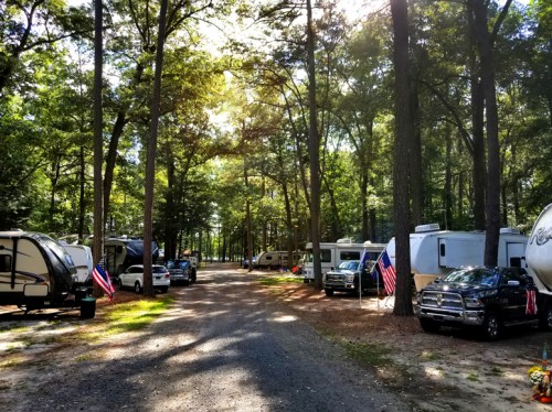 A tree-lined campground with RVs and cars, featuring American flags, under a bright, sunny sky.
