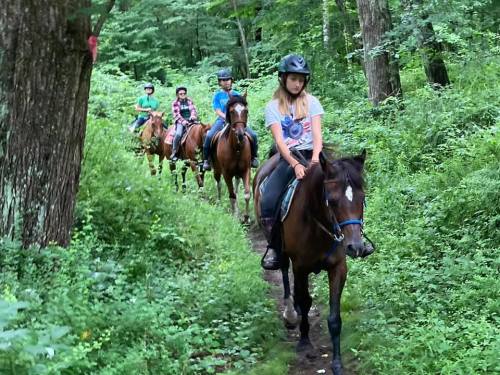 A group of five people riding horses along a wooded trail surrounded by greenery.