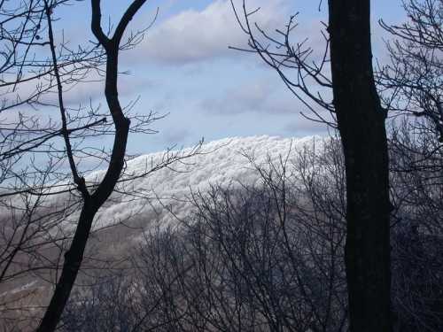 A snowy mountain peak is visible through bare trees under a cloudy sky.