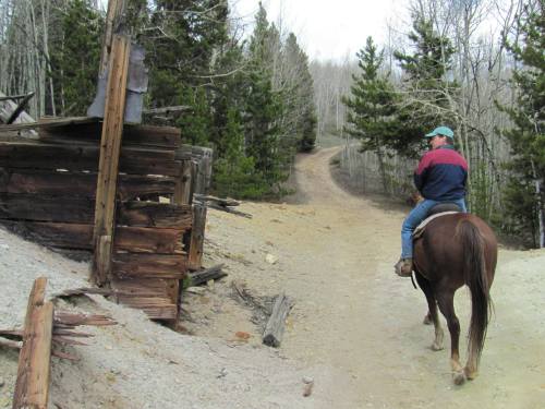 A person on horseback rides along a dirt path near a weathered wooden structure and trees in the background.