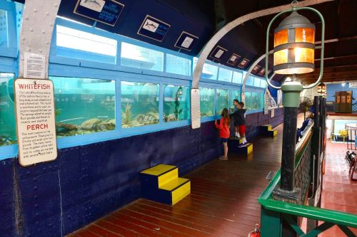 Two children observe fish in a large aquarium, with informational signs on the wall and colorful seating nearby.