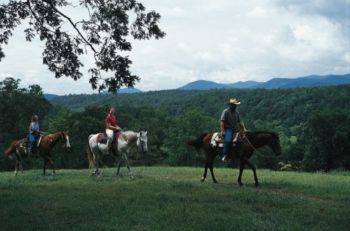 Three riders on horseback traverse a green landscape with mountains in the background under a cloudy sky.