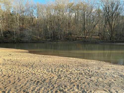 A serene riverbank scene with sandy shore and bare trees reflecting in calm water under a clear sky.