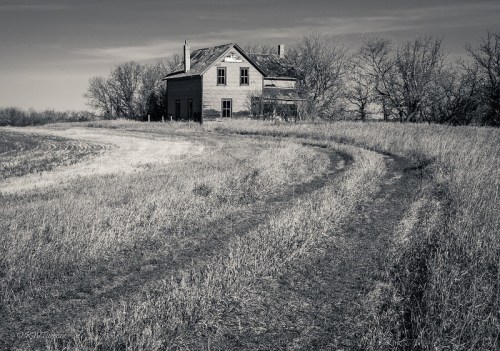 A weathered, abandoned house stands beside a winding dirt path, surrounded by tall grass and sparse trees.