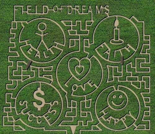 A maze design featuring symbols for health, love, success, and happiness, set against a green grass background.