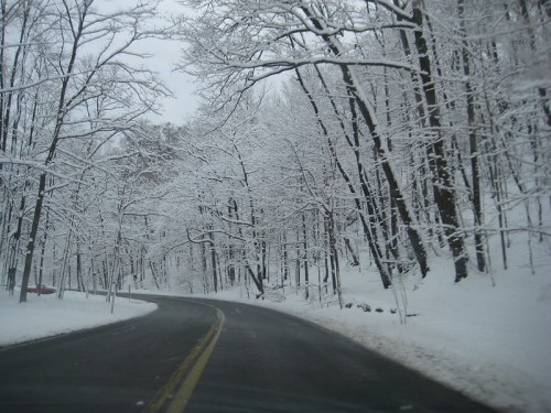 A winding road through a snowy forest, with trees covered in white snow and a cloudy sky above.