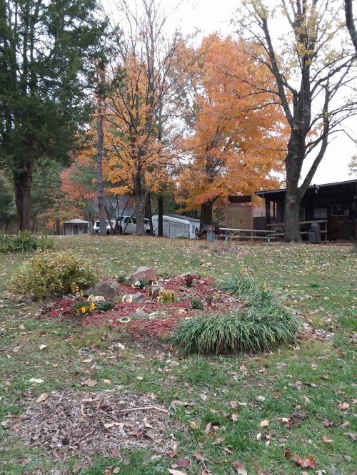 A serene yard with a flower garden, surrounded by trees displaying vibrant autumn colors.