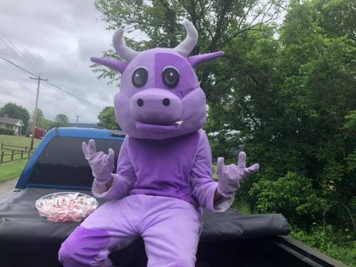 A person in a purple cow costume sits on a truck bed, making peace signs with their hands, surrounded by greenery.