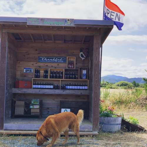 A small wooden stand with an "Open" sign, featuring shelves of goods and a dog sniffing around outside.