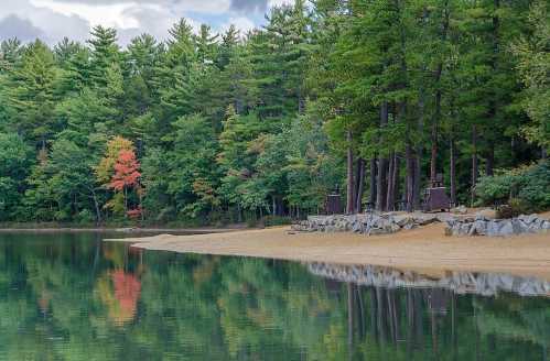 A serene lake surrounded by lush green trees, with a hint of autumn color and reflections on the water's surface.