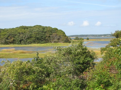 Lush green landscape with a marsh, water, and distant trees under a blue sky with scattered clouds.