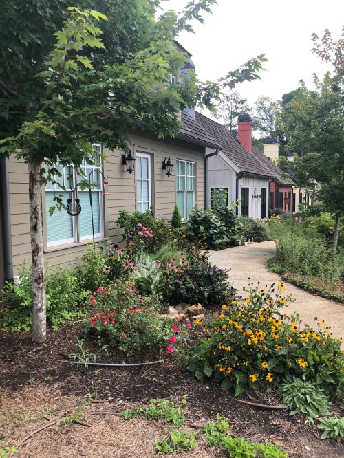 A charming pathway lined with colorful flowers and shrubs leading to a row of houses with large windows.