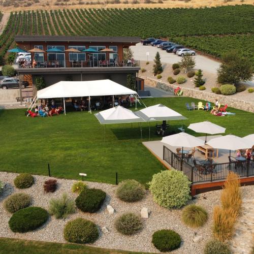 A spacious outdoor venue with tents and seating, surrounded by vineyards and greenery on a sunny day.