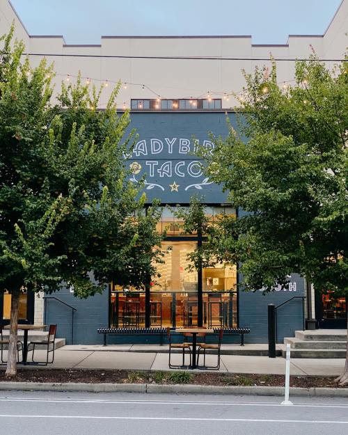 Exterior of Ladybird Taco restaurant, framed by trees, with outdoor seating and string lights above.