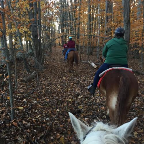 Two riders on horseback navigate a wooded trail with autumn foliage. A white horse's head is in the foreground.