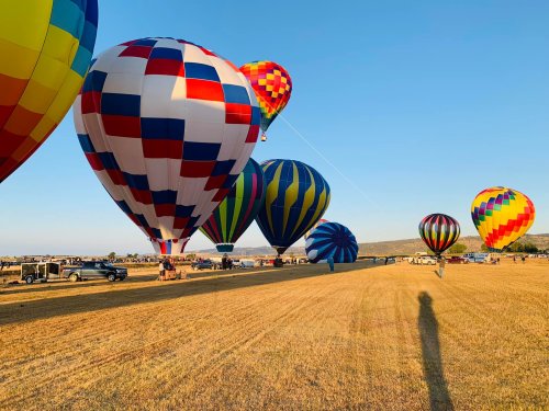 Colorful hot air balloons rise over a golden field under a clear blue sky, with shadows cast on the ground.