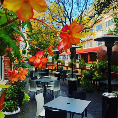 A vibrant outdoor dining area with colorful flowers, tables, and heaters under a clear blue sky.