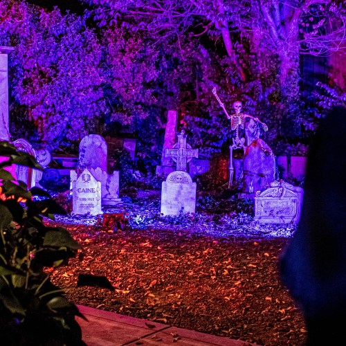 A spooky graveyard scene illuminated with purple lights, featuring tombstones and a skeleton among the foliage.
