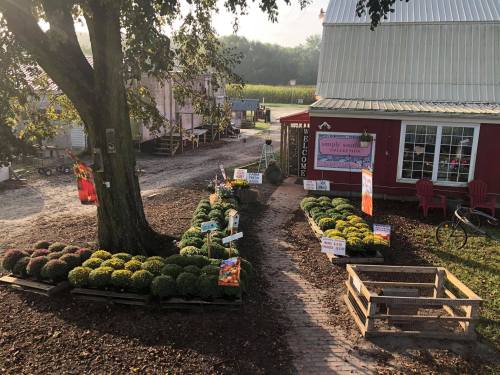 A farm stand with colorful flowers and signs, surrounded by greenery and a welcoming red building in the background.