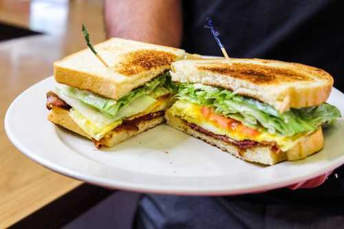 A person holds a plate with two toasted sandwiches, filled with lettuce, tomato, and egg, garnished with toothpicks.