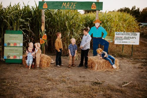 A group of children play near a corn maze entrance, surrounded by hay bales and colorful signs.