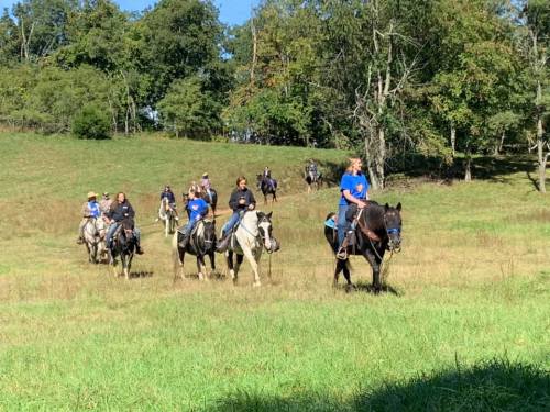A group of people on horseback riding through a grassy field under a clear blue sky.