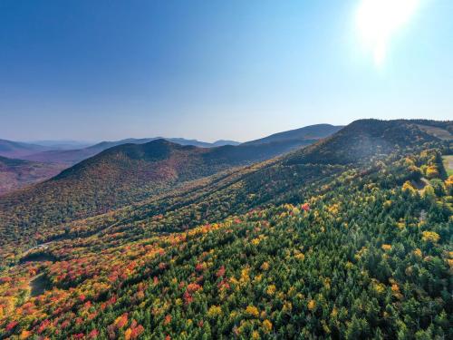 Aerial view of vibrant autumn foliage covering rolling hills under a clear blue sky.