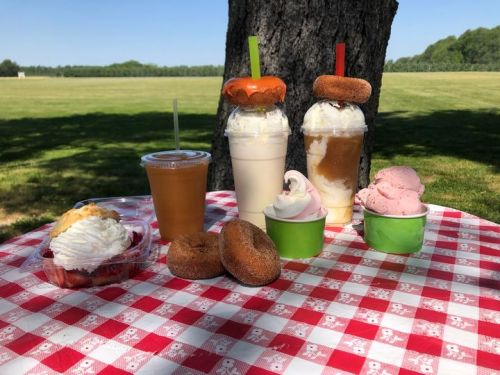 A picnic table with various desserts: milkshakes, ice cream, a drink, and donuts, set in a sunny outdoor field.