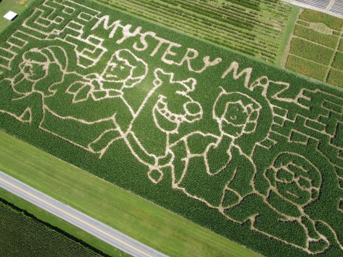 Aerial view of a corn maze featuring characters from a mystery theme, with paths forming their outlines and the words "Mystery Maze."