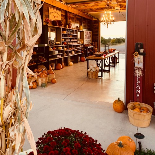 A rustic market stand with pumpkins, flowers, and autumn decor, welcoming visitors with a warm, inviting atmosphere.
