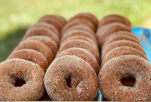 A close-up of freshly made cinnamon sugar donuts arranged in a row on a tray, with a blurred green background.