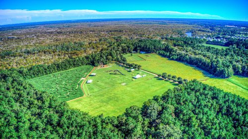 Aerial view of a vast green field surrounded by dense trees, with a maze and structures visible in the center.