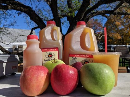 Bottles of apple cider and fresh apples on a table, with a tree and autumn leaves in the background.