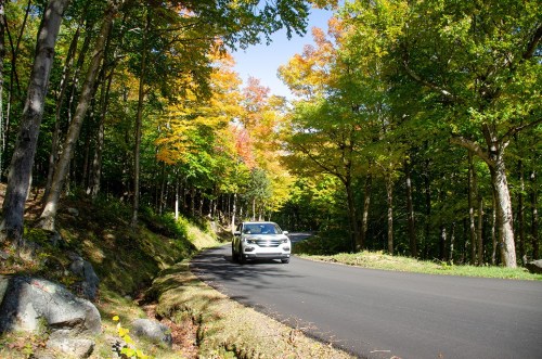 A car drives along a winding road surrounded by trees with vibrant autumn foliage.