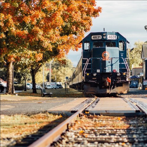 A train engine parked beside a tree with autumn leaves, along a quiet street with parked cars and benches.