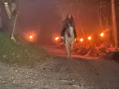 A rider on a horse approaches through a foggy path, illuminated by glowing orange lights in the background.