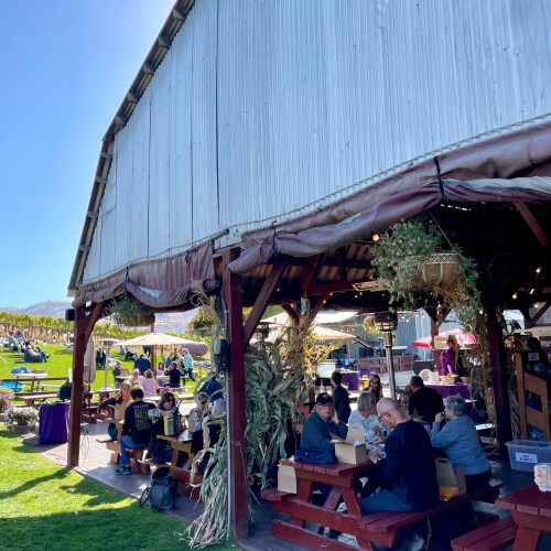 A lively outdoor dining area with people seated at tables under a large, shaded structure. Greenery decorates the space.