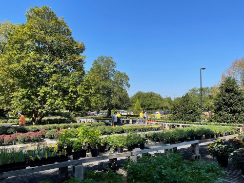 A vibrant garden center with various plants and flowers under a clear blue sky, with people browsing among the displays.