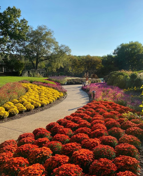 A winding path through a vibrant garden filled with red, yellow, and purple flowers under a clear blue sky.