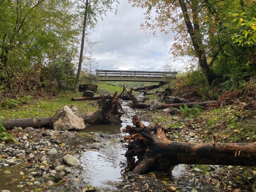 A shallow stream flows through a rocky bed, with fallen logs and greenery, under a bridge in a cloudy setting.