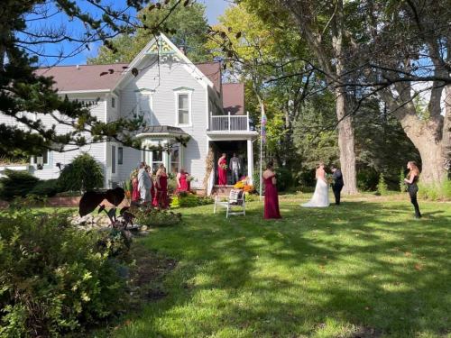 A wedding scene in a garden with a couple and bridesmaids in burgundy dresses near a charming house.